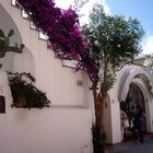 eine Treppe auf Capri