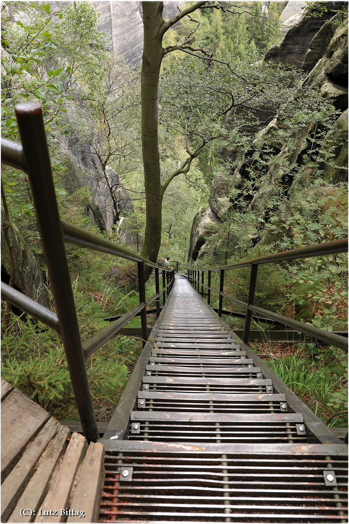 Eine Treppe im Grünen