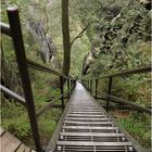 Eine Treppe im Grünen