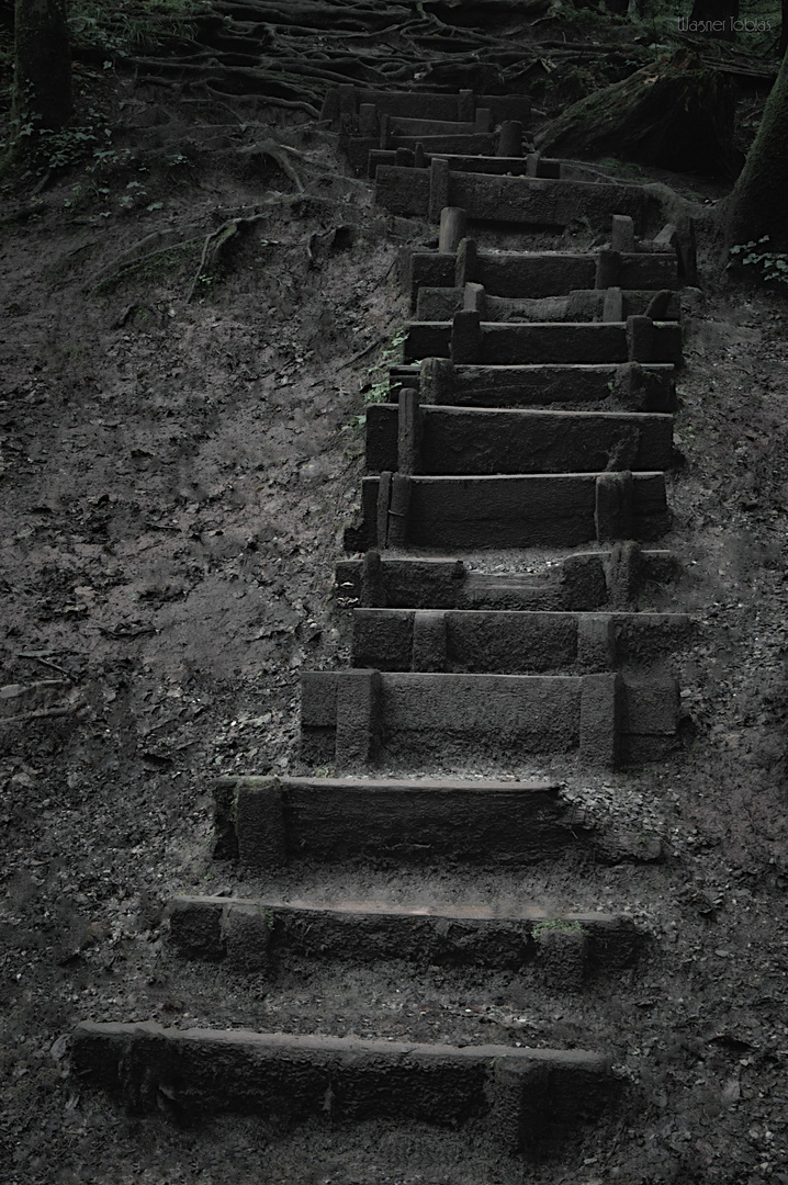 Eine Treppe im Wald