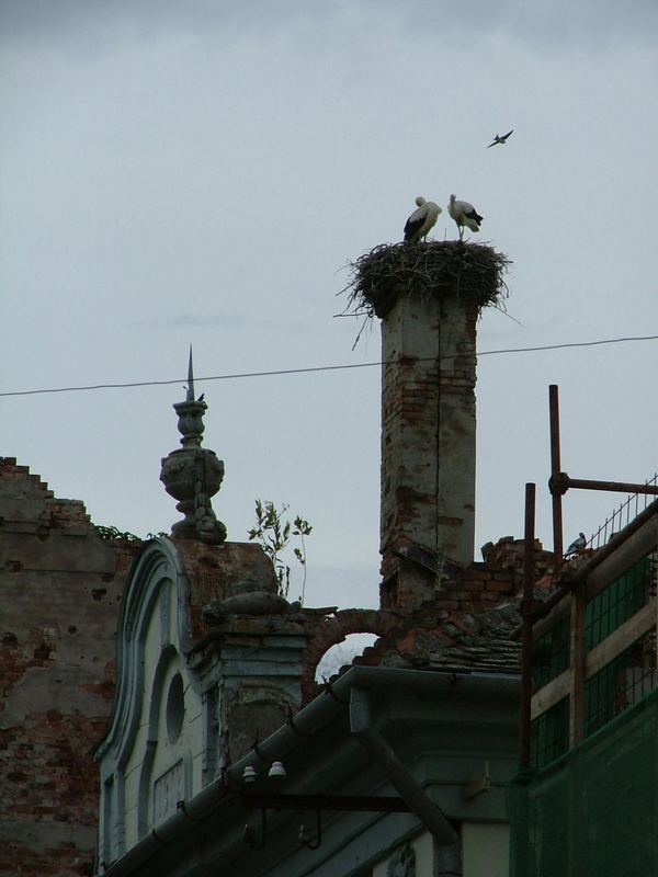 Eine Trümmer-Familie in Vukovar