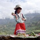 Eine typische Straßenszene beim Colca-Canyon - wunderschöne Landschaft