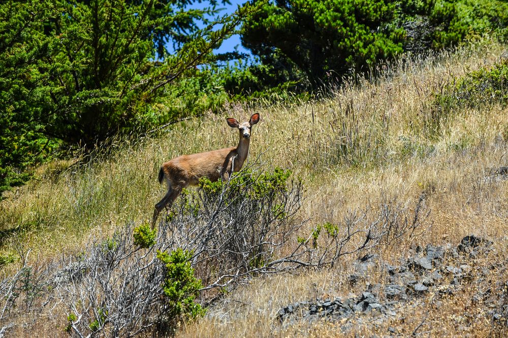 Eine Überraschung am Weg                                 DSC_5198-2