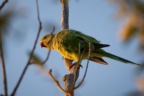 Eine unerwartete Begegnung in der Stadt.