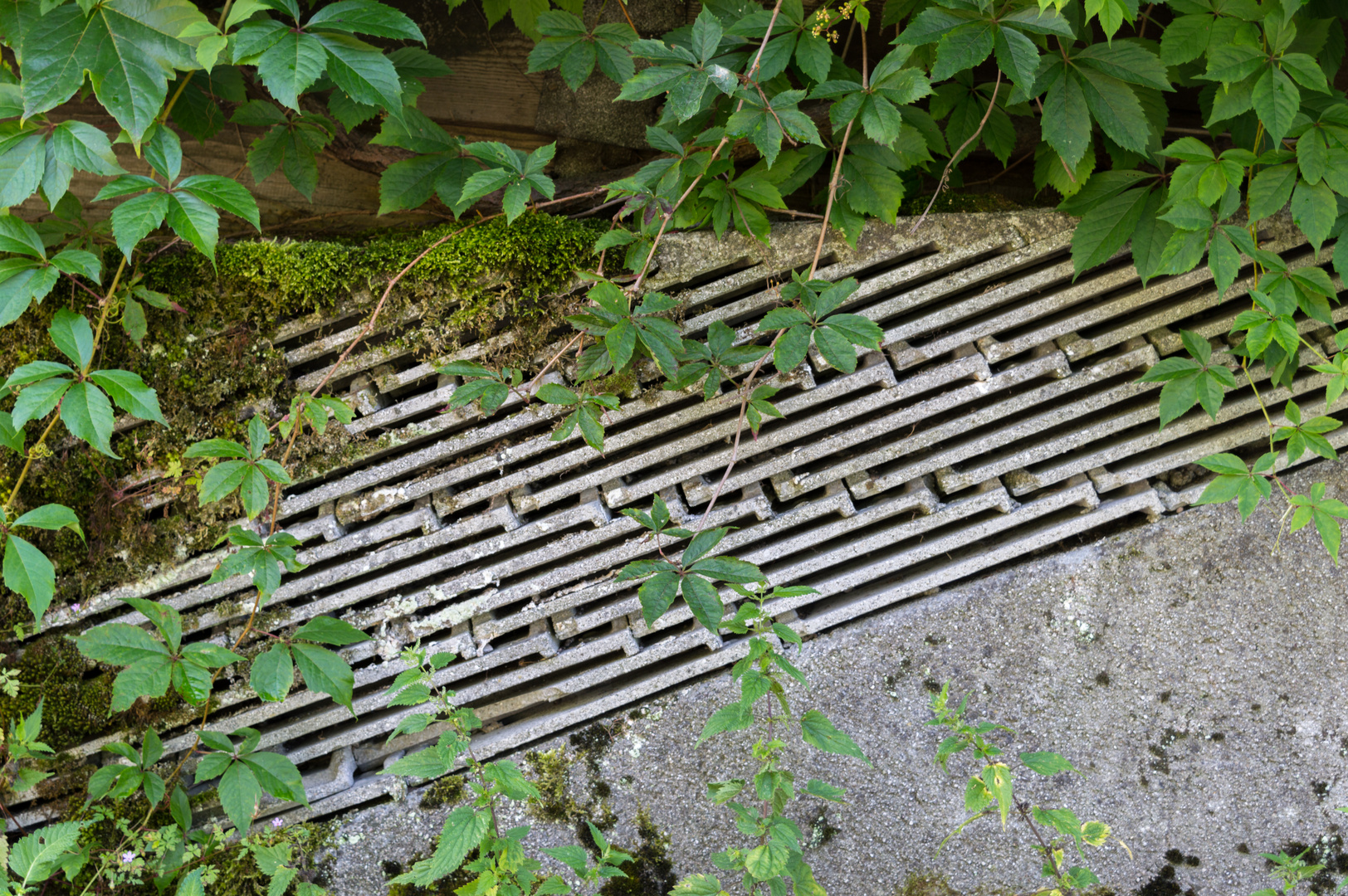 Eine ungewöhnliche Gartenmauer in Österreich