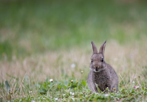 Eine unvergesslich schöne Zeit,