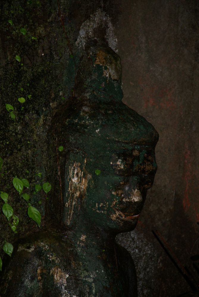 eine uralte erleuchtung mitten im dschungel, laos 2010