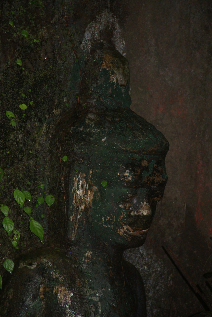 eine uralte erleuchtung mitten im dschungel, laos 2010