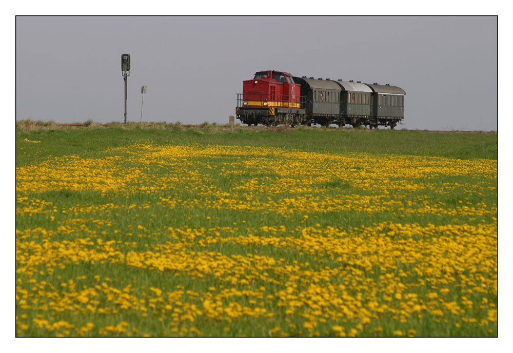 Eine V100 zieht den Steigerwald-Express