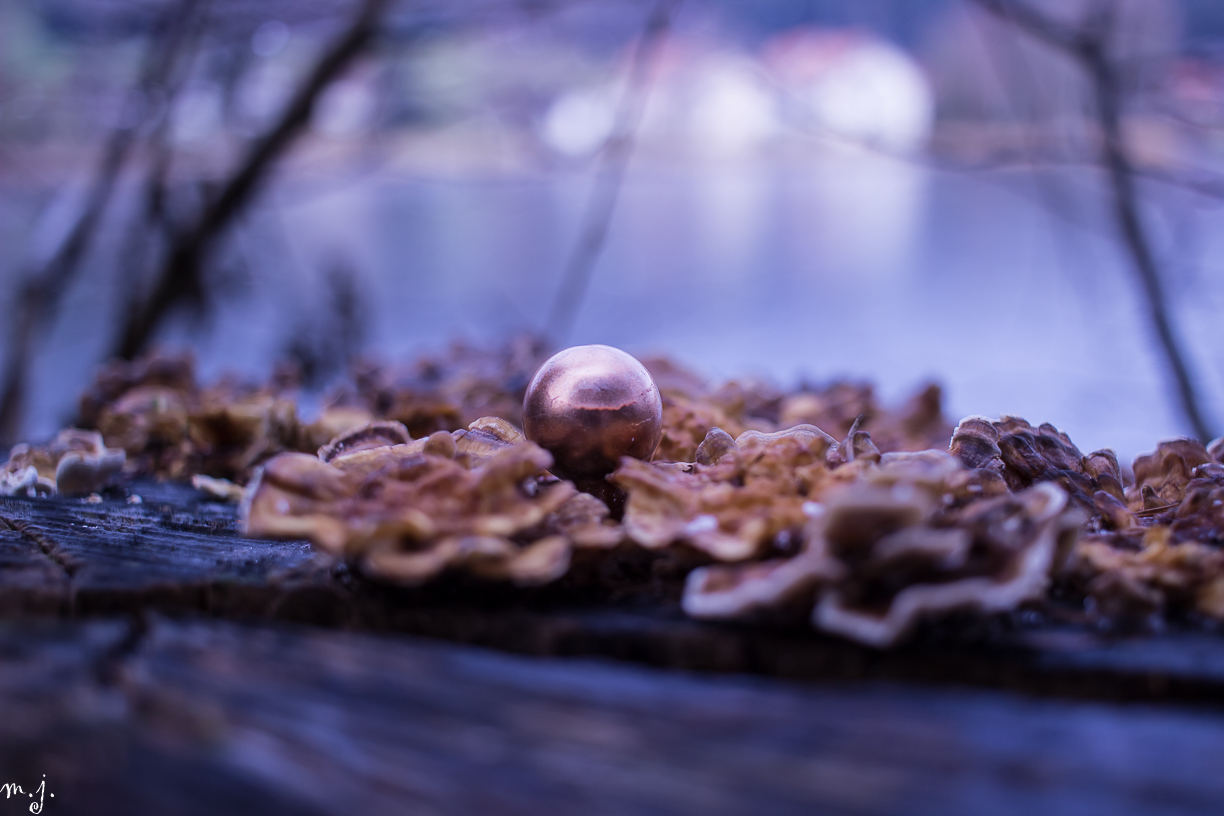 eine verlassene Weihnachtskugel im Wald