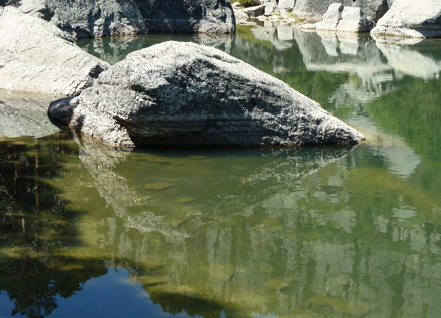 Eine versteinerte Schildkröte?