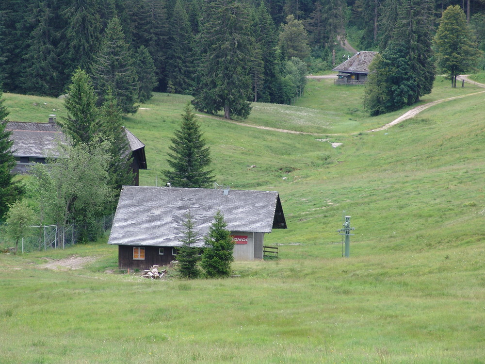 Eine verweisste Skilandschaft im Schwarzwald