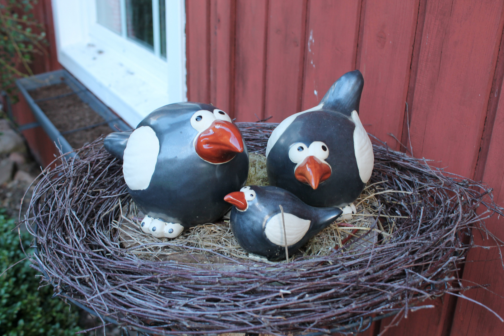 Eine Vogelfamilie