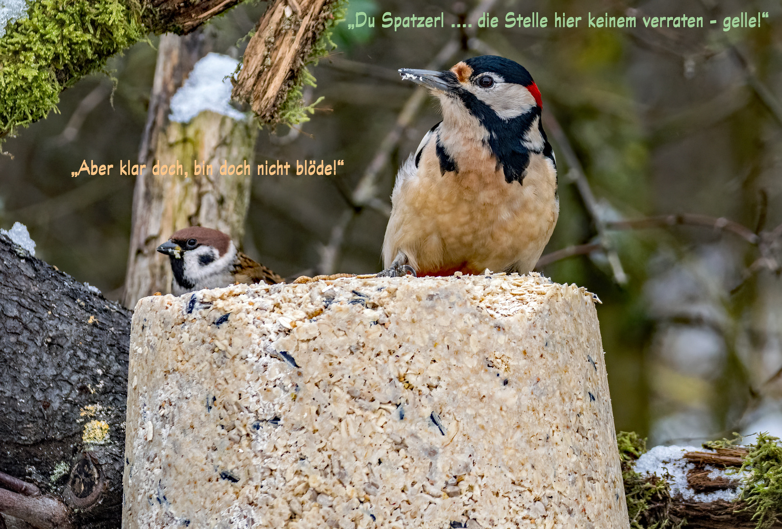 "Eine Vogelinterne Abmachung"