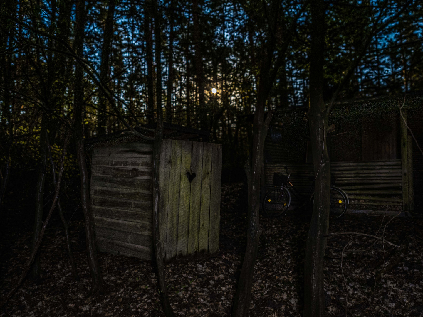 Eine Vollmondnacht im Wald: die verlassene Hütte