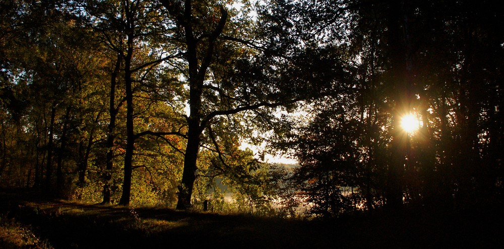 Eine von der Morgensonne erstrahlte..