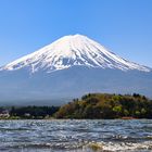 Eine wahre Schönheit der Fuji