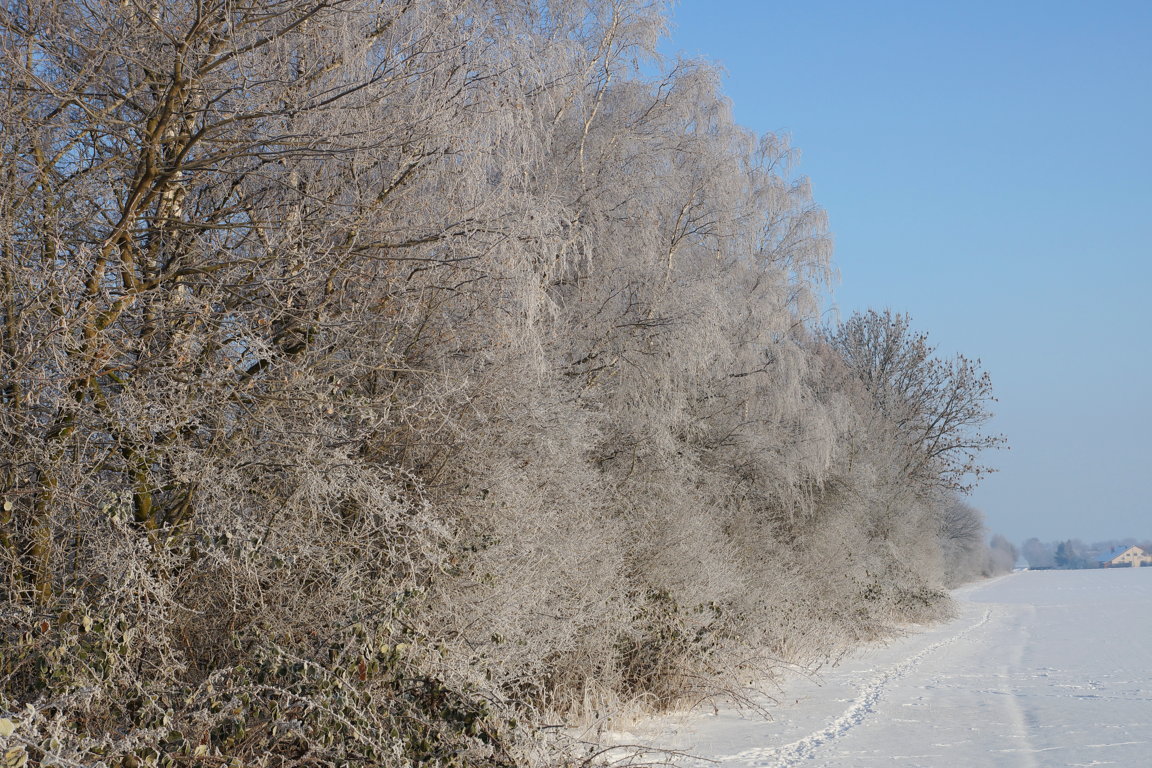 Eine Wand aus Eiskristallen