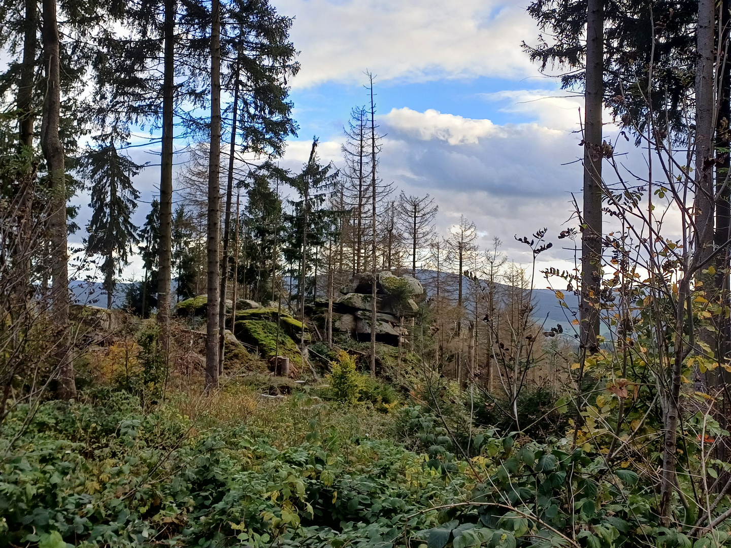 Eine Wanderung die sich lohnt! 