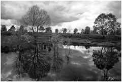 Eine Wanderung im Brackvenn Juli 2012