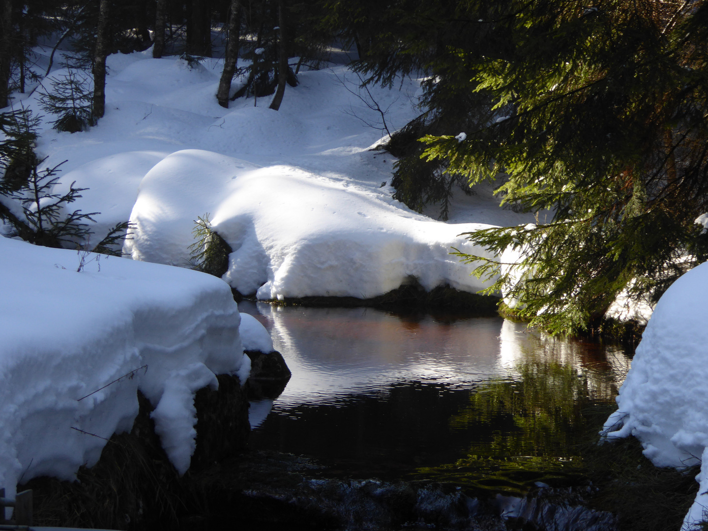 Eine Wanderung im Harz