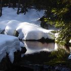 Eine Wanderung im Harz