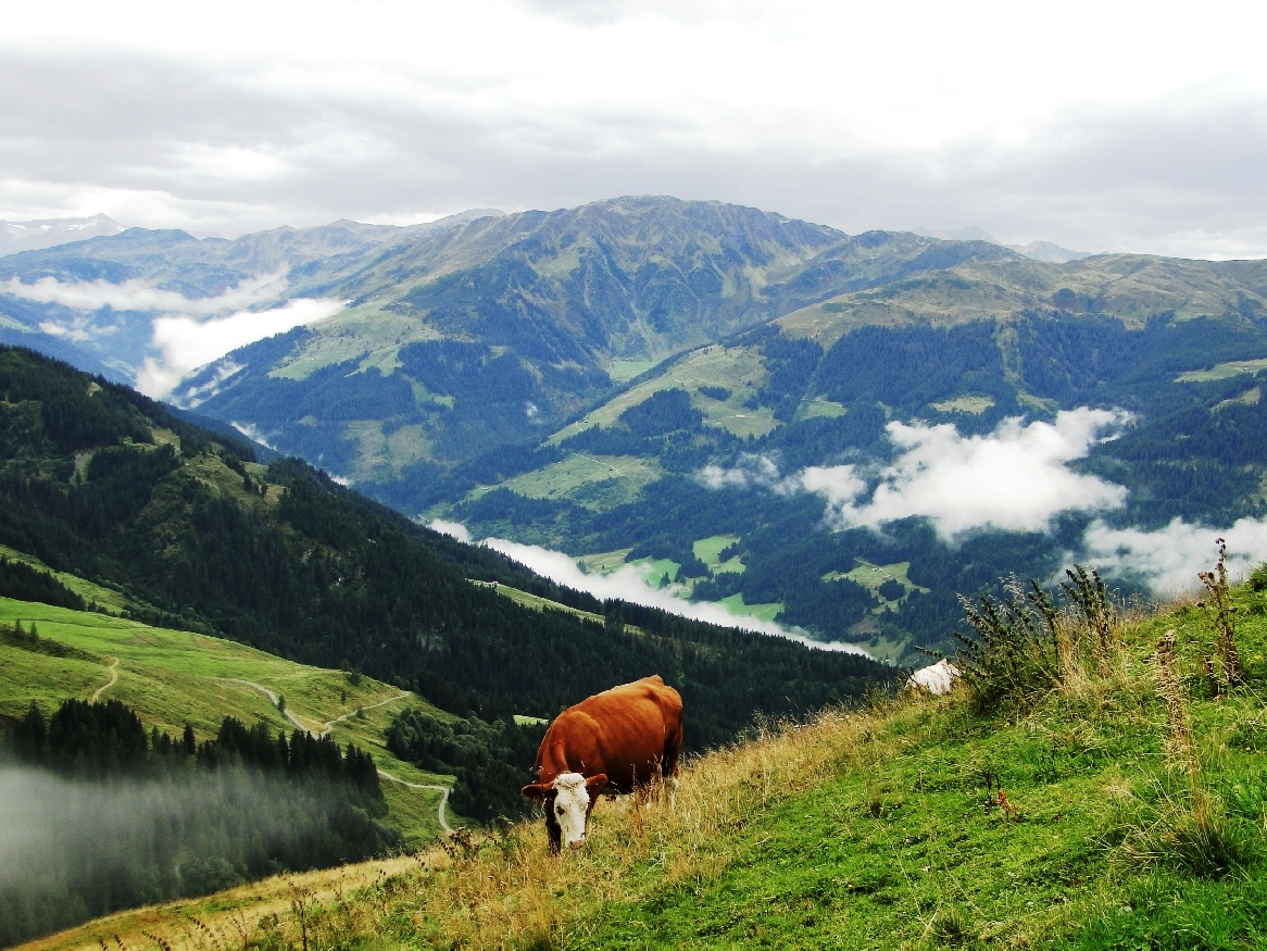 eine Wanderung in den Kitzbühler Alpen ist immer was besonderes...