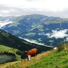 eine Wanderung in den Kitzbühler Alpen ist immer was besonderes...