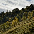 Eine Wanderung zu den Riedinger Wasserfällen