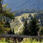 Eine Wanderung zu den Riedinger Wasserfällen