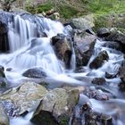 eine weiche Quelle am Feldberg