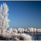 eine Weihnachtslandschaft ........