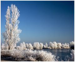 eine Weihnachtslandschaft ........