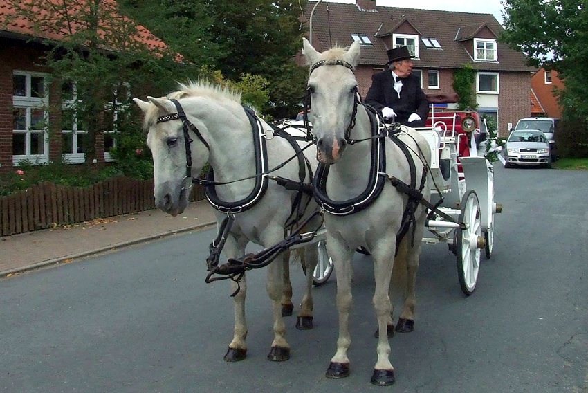 Eine weiße Hochzeitskutsche