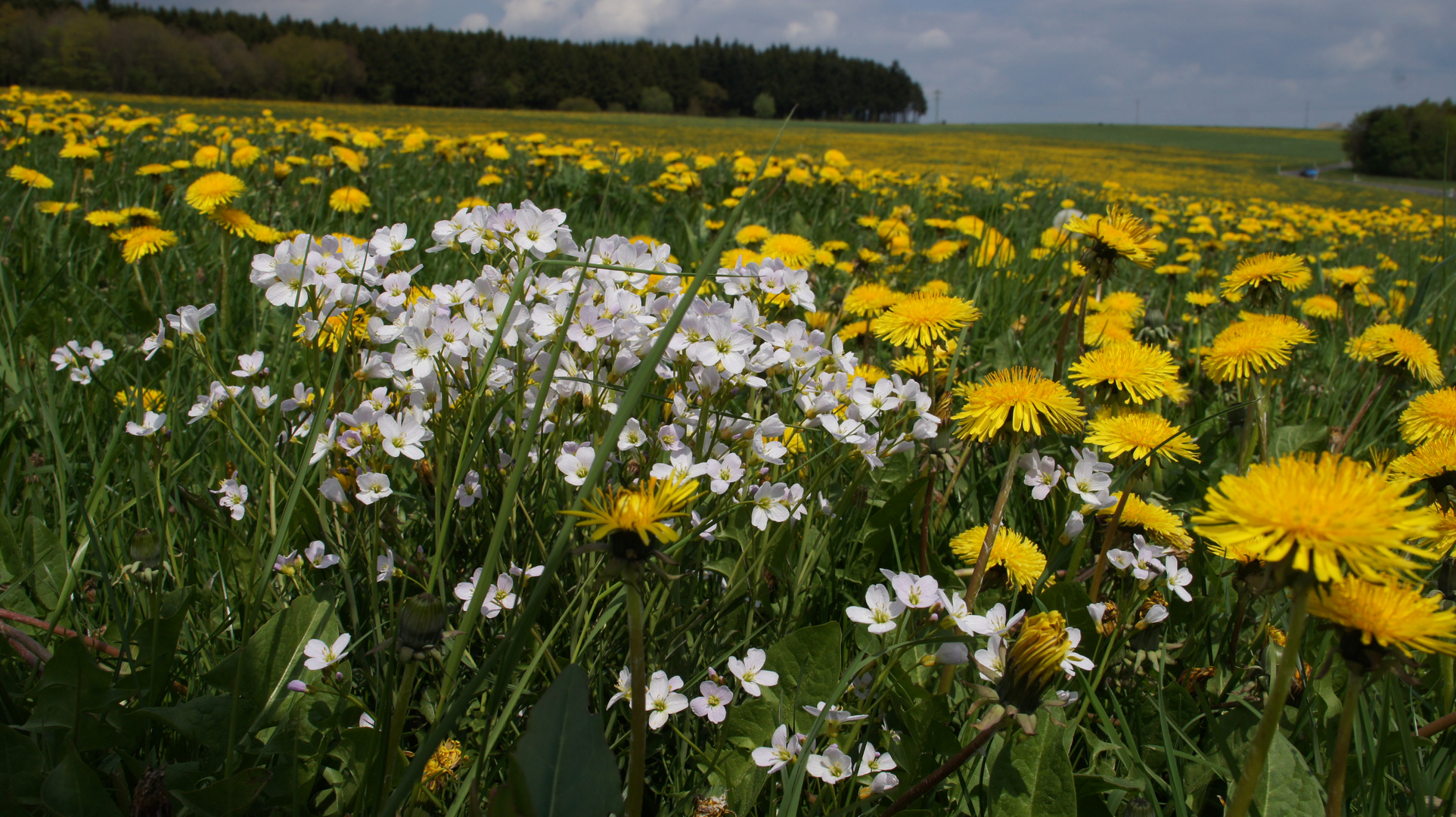 Eine Weiße Stelle