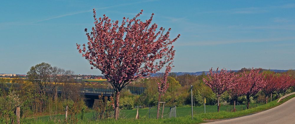 Eine weitere Aufnahme mit mehr "Dresden" im HG links