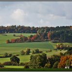 Eine weitere Herbstimpression aus Usingen ;-)