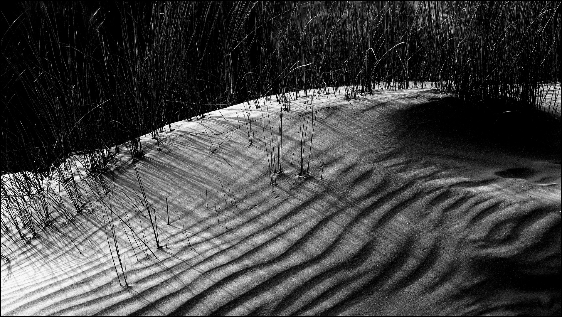 EINE WELT AUS WIND, SAND UND LICHT