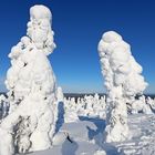 Eine Welt aus Zuckerguß....