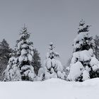 Eine Welt in schwarz-weiß