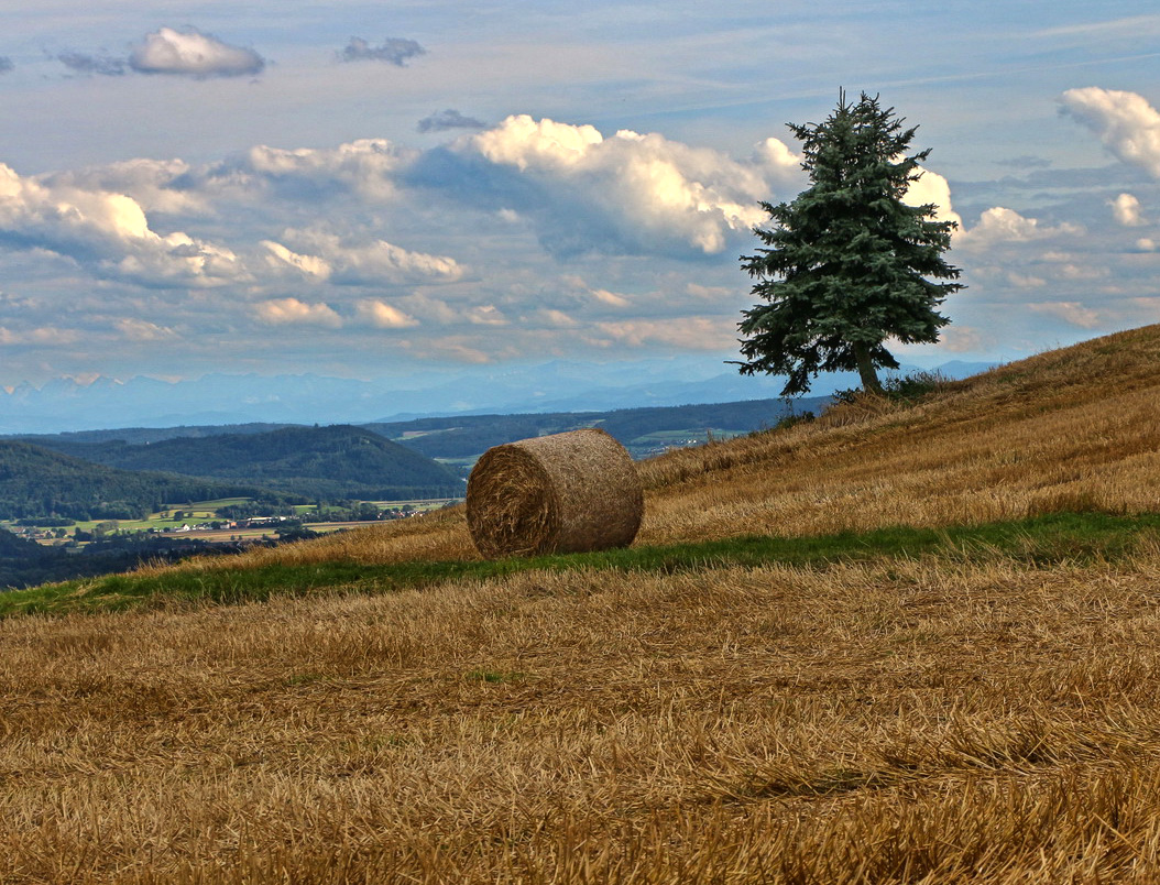 Eine wichtige Rolle