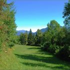 Eine Wiese am Crestasee # Una pradera en el lago Cresta