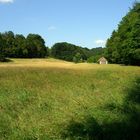 Eine Wiese bei Urbach im Juni