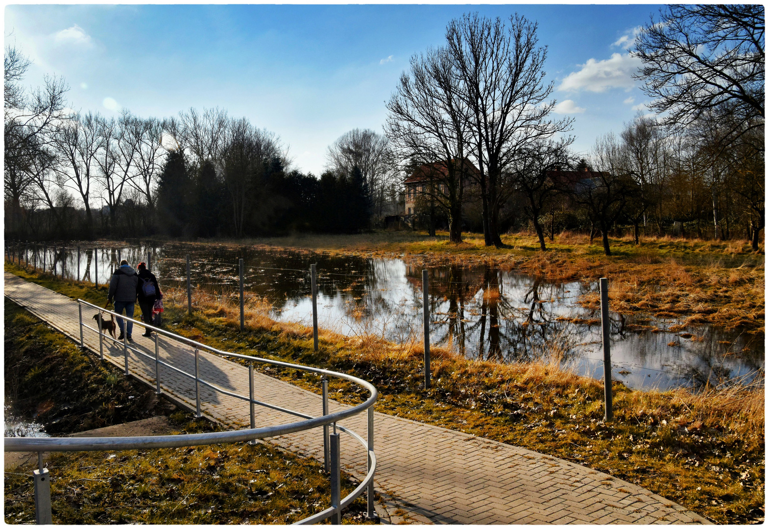 eine Wiese im Überfluss