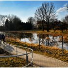 eine Wiese im Überfluss