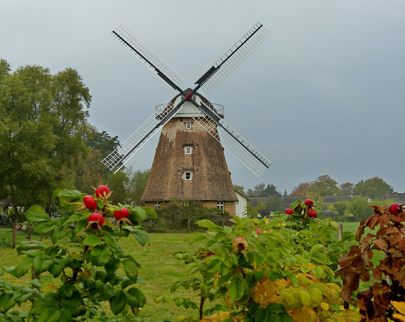 Eine Windmühle in Ahrenshoop