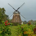 Eine Windmühle in Ahrenshoop