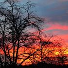 Eine Winter - Ablichtung mit glücklichem Sonnenuntergang in der Nähe meines Domizil in Aachen !