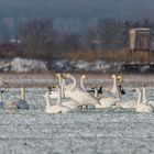 "Eine Winterimpression aus der Mecklenb. Seenplatte 2022"