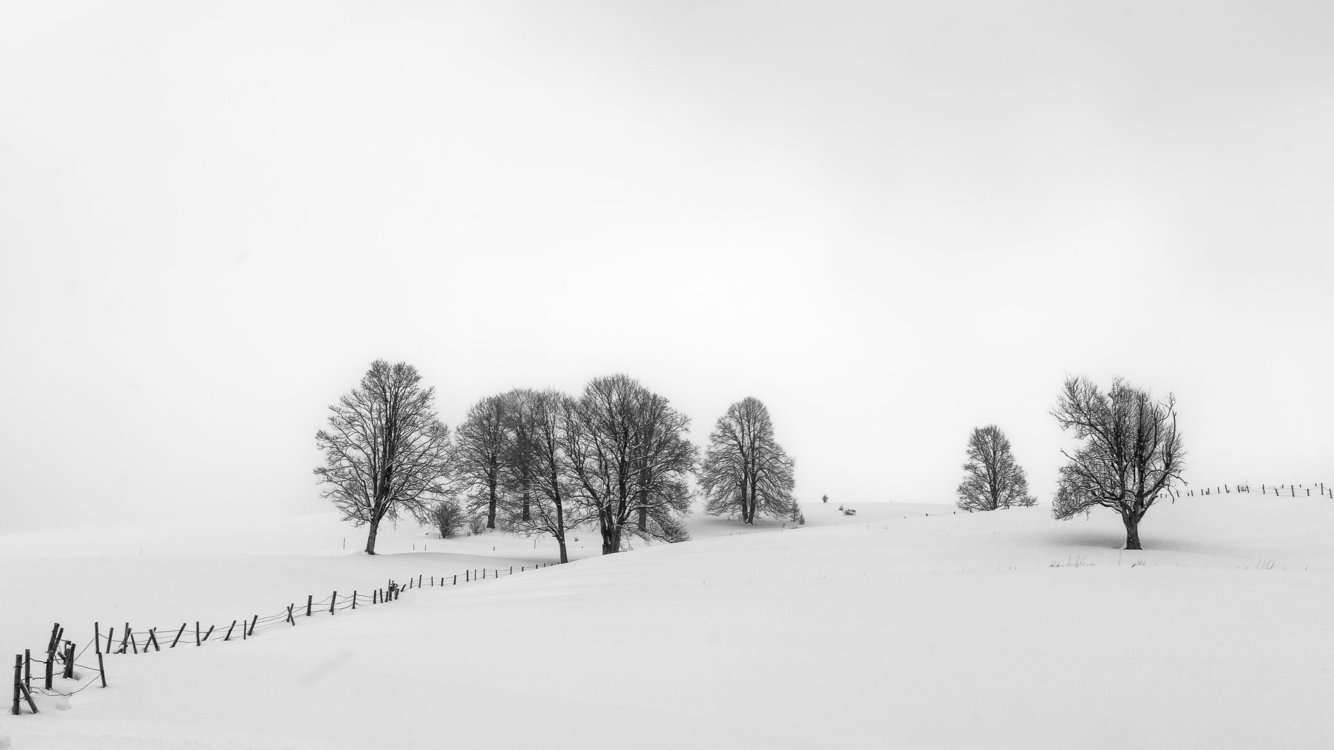 eine Winterlandschaft...